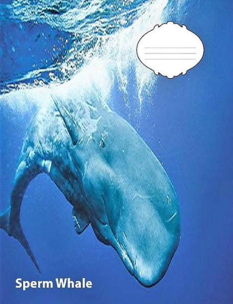 Sperm Whale Wide Ruled Line Paper Composition Book : Whale Fans, Elementary Students, School Supplies, Visual Imparied, Large Handwriting