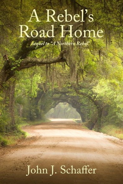 A Rebel's Road Home: sequel to "A Northern Rebel"