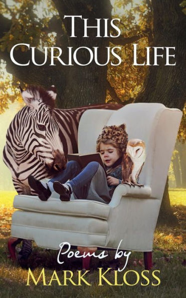 This Curious Life : Poetry Of Love, Loss And Inspiration