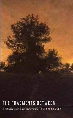 The Fragments Between : A Collection Of Poetry And Photography