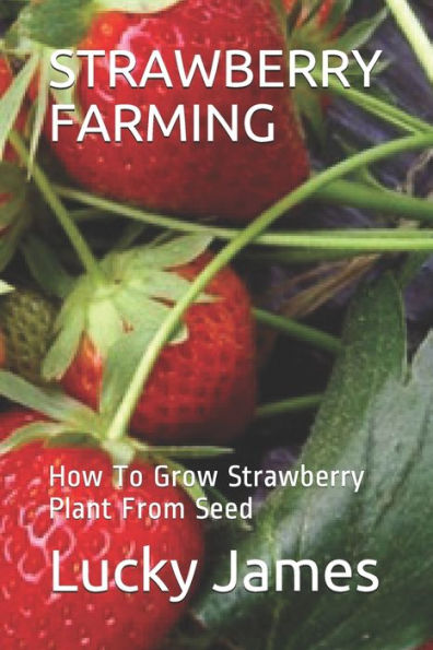 Strawberry Farming : How To Grow Strawberry Plant From Seed