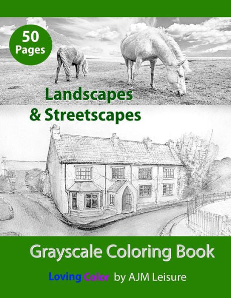 Landscapes & Streetscapes: Adult grayscale coloring book (Coloring Themes)