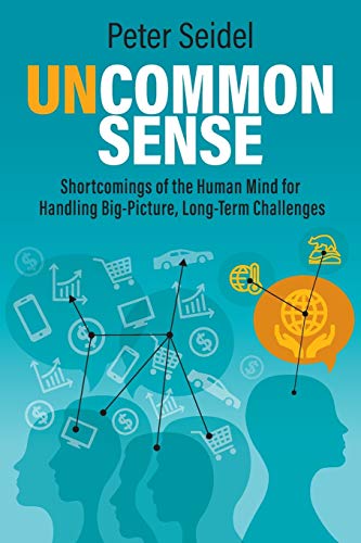Uncommon Sense : Shortcomings of the Human Mind for Handling Big-Picture, Long-Term Challenges
