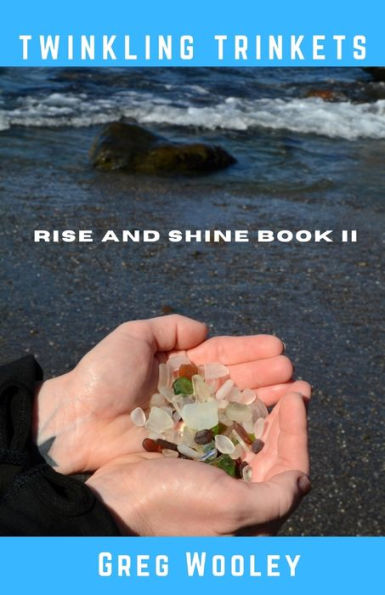 Twinkling Trinkets - 9781733947824