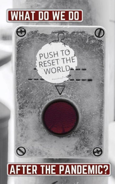 What Do We Do After The Pandemic : Ideas For Beneficial Systems Change