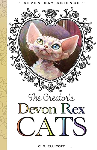 The Creator's Devon Rex Cats - 9781735634531