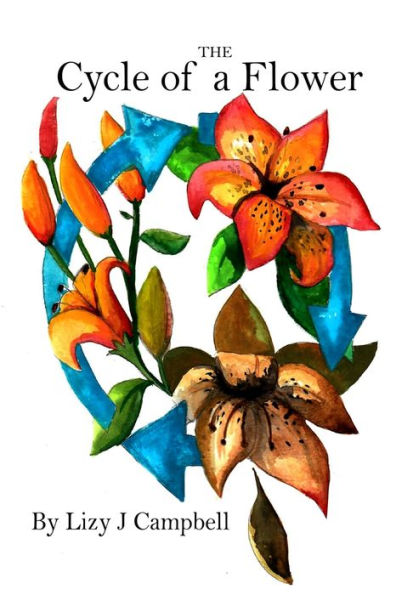 The Cycle Of A Flower