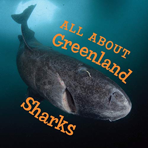 All About Greenland Sharks: English Edition (Nunavummi)