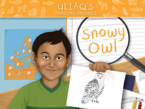 Uliaq's Amazing Animals: Snowy Owl: English Edition (Nunavummi)