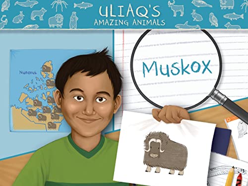 Uliaq's Amazing Animals: Muskox: English Edition (Nunavummi)
