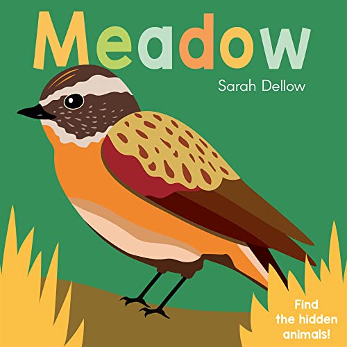 Now You See It! Meadow (Now You See It!, 4)