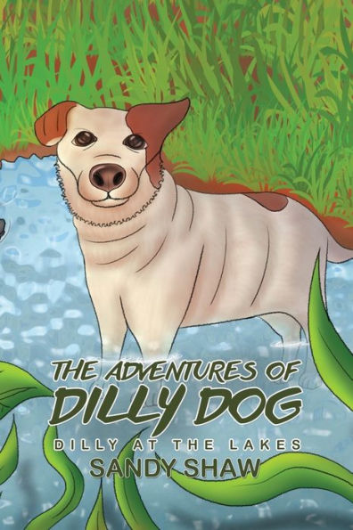 The Adventures Of Dilly Dog : Dilly At The Lakes