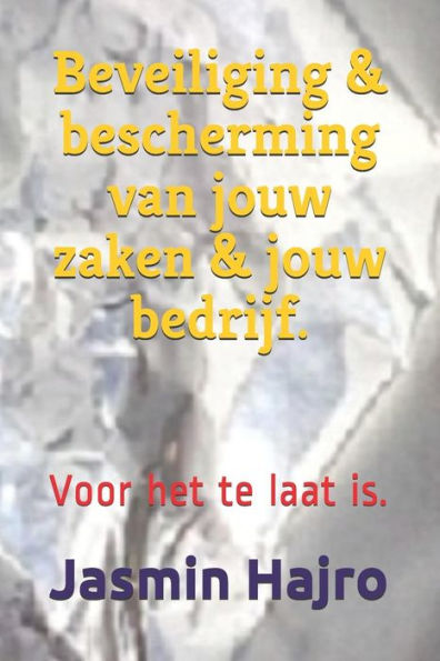 Beveiliging & bescherming van jouw zaken & jouw bedrijf.: Voor het te laat is. (Work to Shine) (Dutch Edition)