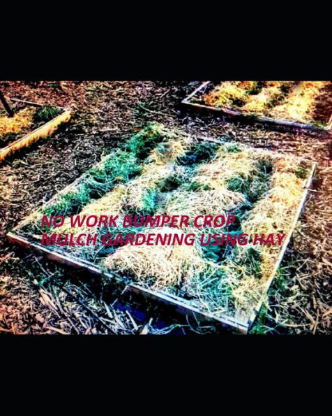 No Work Bumper Crop Mulch Gardening Using Hay : Or Straw, Grass, Leaves, Wood Chips, Logs, Cardboard, Newspapers, Compost, Sand, Or Manure: My Checklists