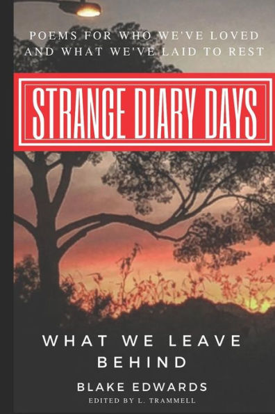 Strange Diary Days : What We Leave Behind