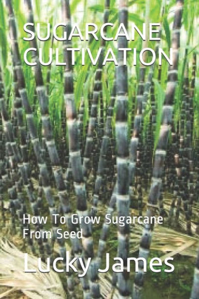 Sugarcane Cultivation : How To Grow Sugarcane From Seed