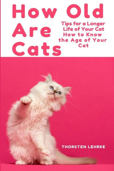 How Old Are Cats? Tips for a Longer Life of Your Cat: How to Know the Age of Your Cat