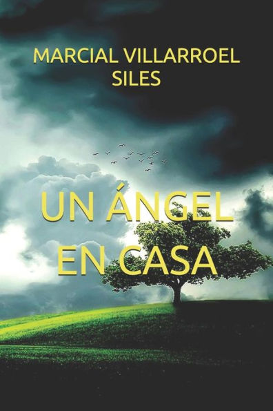 Un ?ngel En Casa