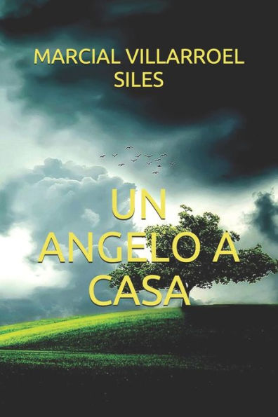Un Angelo A Casa