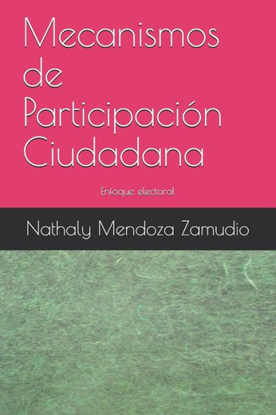 Mecanismos De Participación Ciudadana: Enfoque Electoral