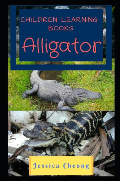 Children Learning Books - Alligator