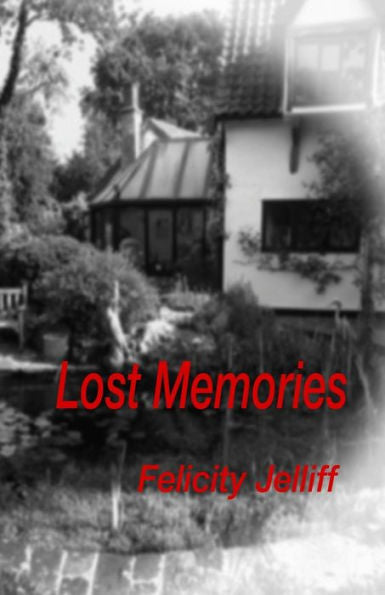 Lost Memories - 9781795066341