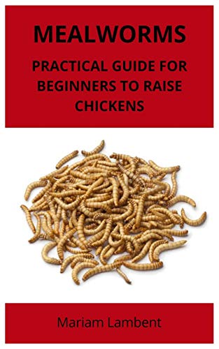 Mealworms: Practical Guide For Beginners To Raise Chickens