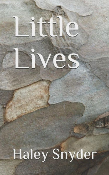 Little Lives - 9781795445283
