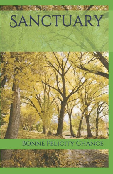 Sanctuary - 9781796978278