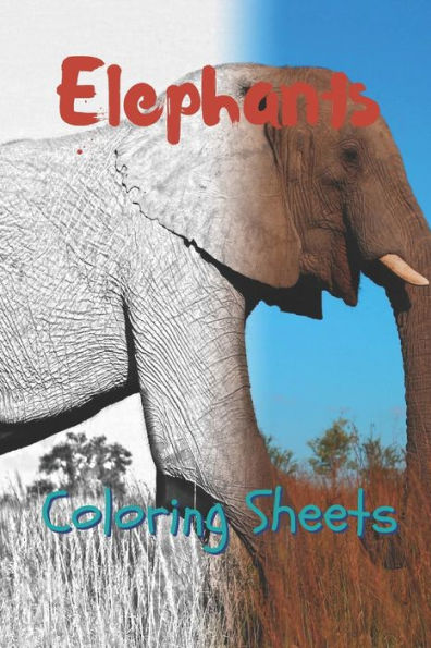 Elephant Coloring Sheets: 30 elephant drawings,coloring sheets adults relaxation, coloring book for kids, for girls, volume 7