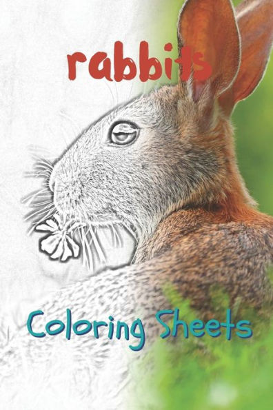 Rabbit Coloring Sheets: 30 Rabbit Drawings, Coloring Sheets Adults Relaxation, Coloring Book For Kids, For Girls - 9781797658841