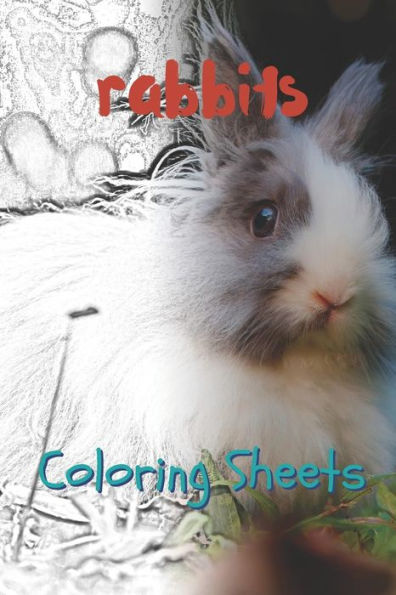 Rabbit Coloring Sheets: 30 Rabbit Drawings, Coloring Sheets Adults Relaxation, Coloring Book For Kids, For Girls - 9781797658940