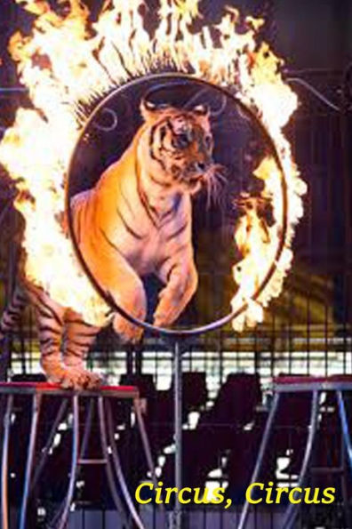 Circus, Circus (Geschichten aus dem Liebesleben) (German Edition)