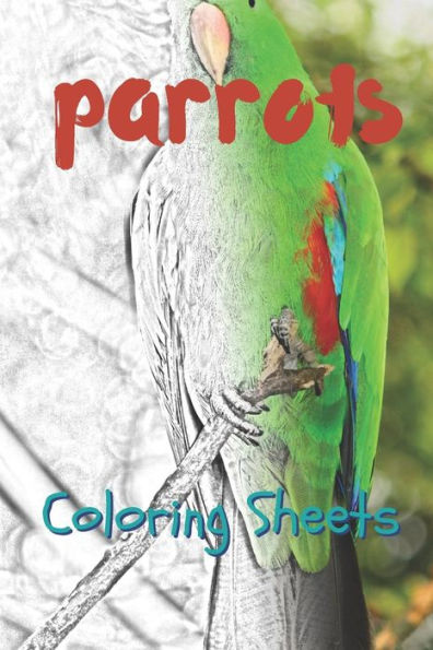 Parrot Coloring Sheets: 30 Parrot Drawings, Coloring Sheets Adults Relaxation, Coloring Book For Kids, For Girls - 9781797819204