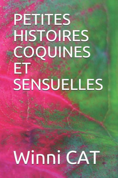 Petites Histoires Coquines Et Sensuelles