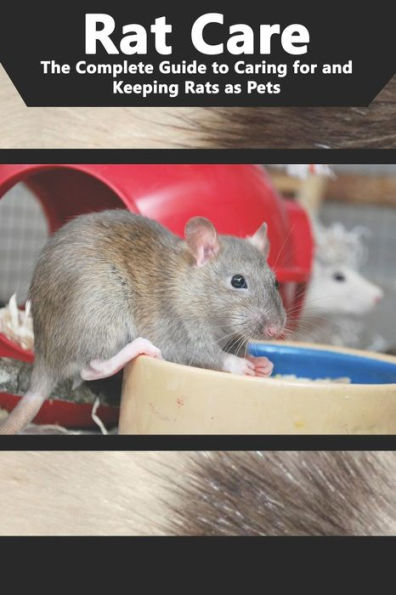 Rat Care: The Complete Guide To Caring For And Keeping Rats As Pets