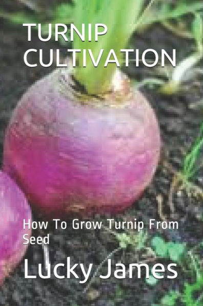 Turnip Cultivation : How To Grow Turnip From Seed