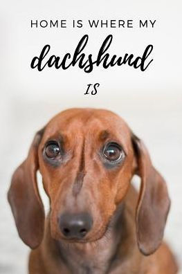 Home Is Where My Dachshund Is