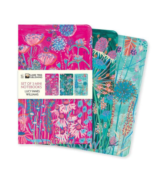 Lucy Innes Williams Set Of 3 Mini Notebooks (Mini Notebook Collections)