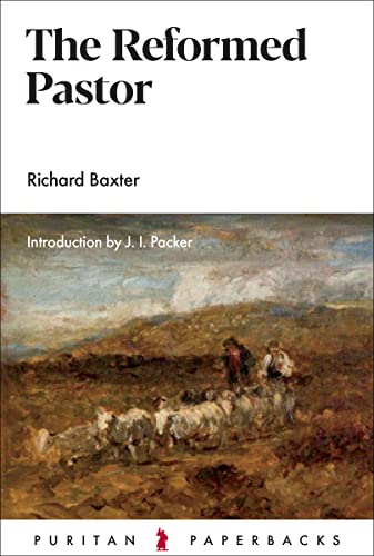 The Reformed Pastor - 9781848712119
