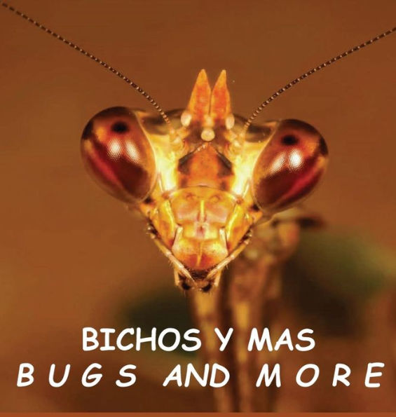 Bichos y Mas: Bichos y más