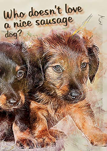 Who Doesn't Like a Nice Sausage Dog?
