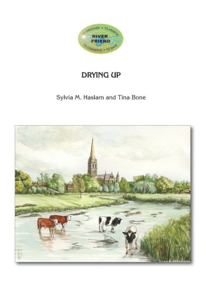 Drying Up: River Friend Series Book 1 (1) - 9781916209619