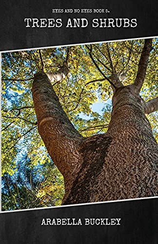 Trees And Shrubs - 9781922619952