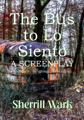 The Bus to Lo Siento