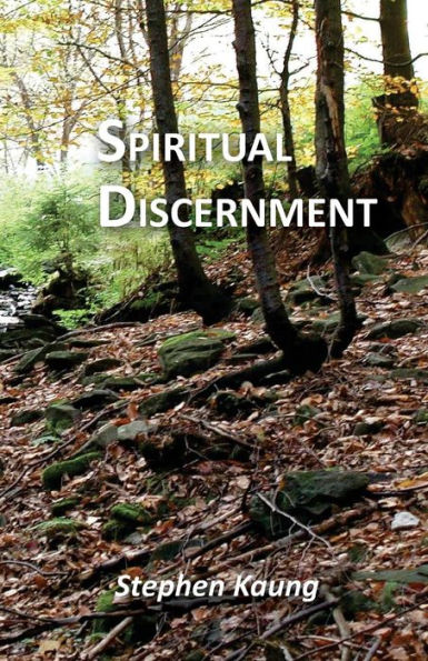 Spiritual Discernment