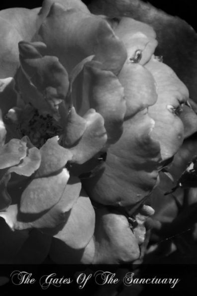 Alone: A 4,000 Mile Search for Belonging