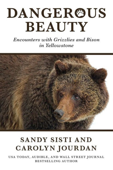 Belleza peligrosa: Encuentros con osos pardos y bisontes en Yellowstone