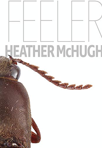 Feeler (Quarternote Chapbook Series)