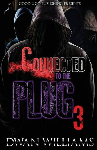 Connected to the Plug 3 (3)